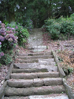 秋葉公園（階段）