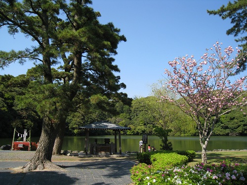 桜ヶ池