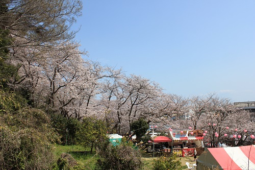 御殿山桜祭りの屋台