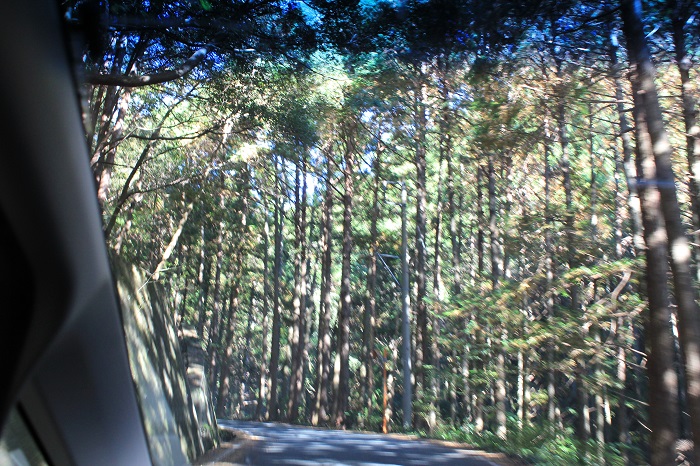 秋葉神社へ続く山道
