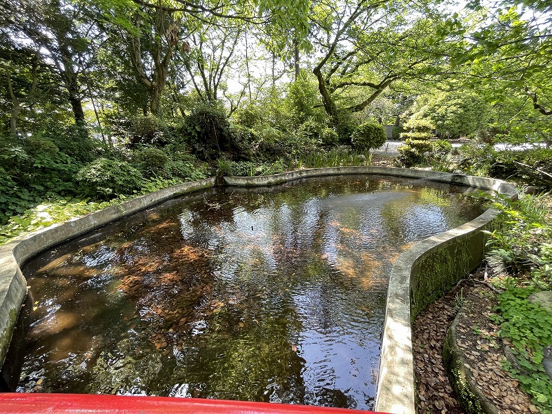 池（米之宮浅間神社）