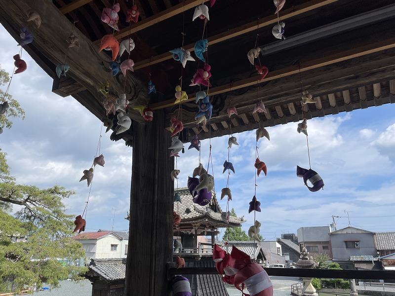 さるぼぼ（金剛山 庚申寺）