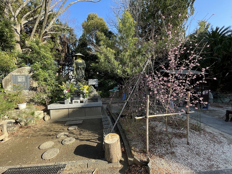 梅（大澤寺）