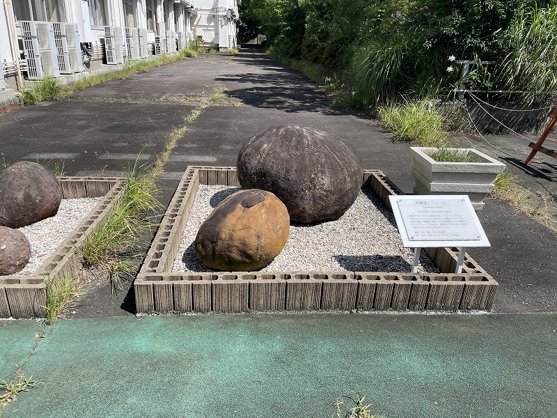 オブジェ(ふじのくに地球環境史ミュージアム)
