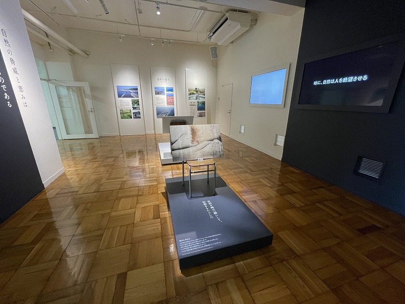 館内展示1(ふじのくに地球環境史ミュージアム)