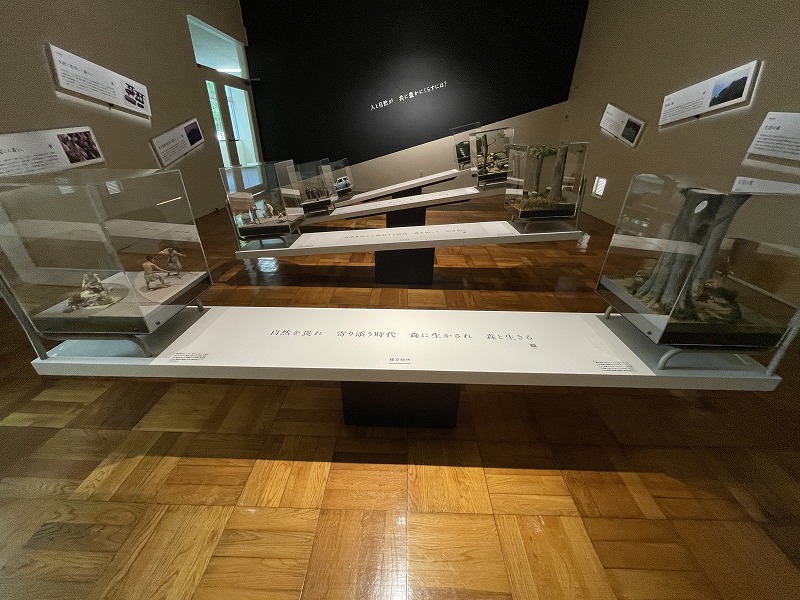 館内展示2(ふじのくに地球環境史ミュージアム)