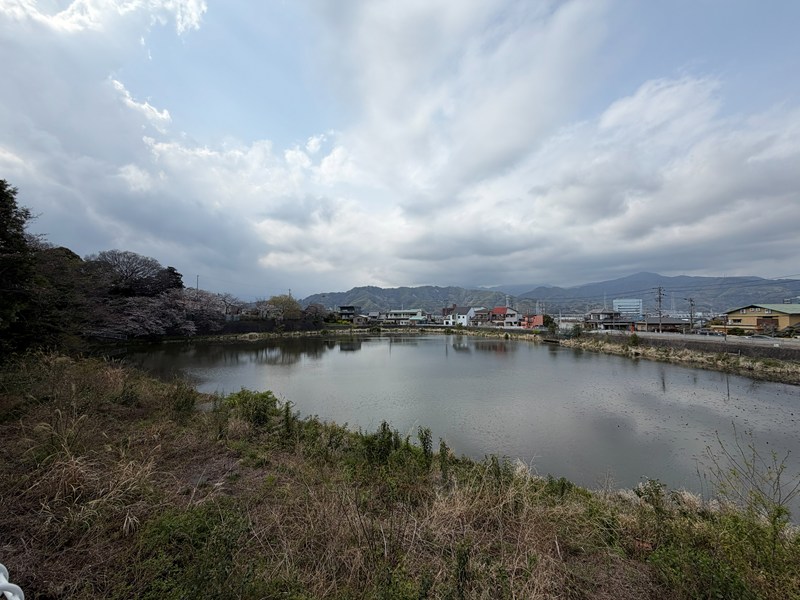 北側の池(イオン清水店)