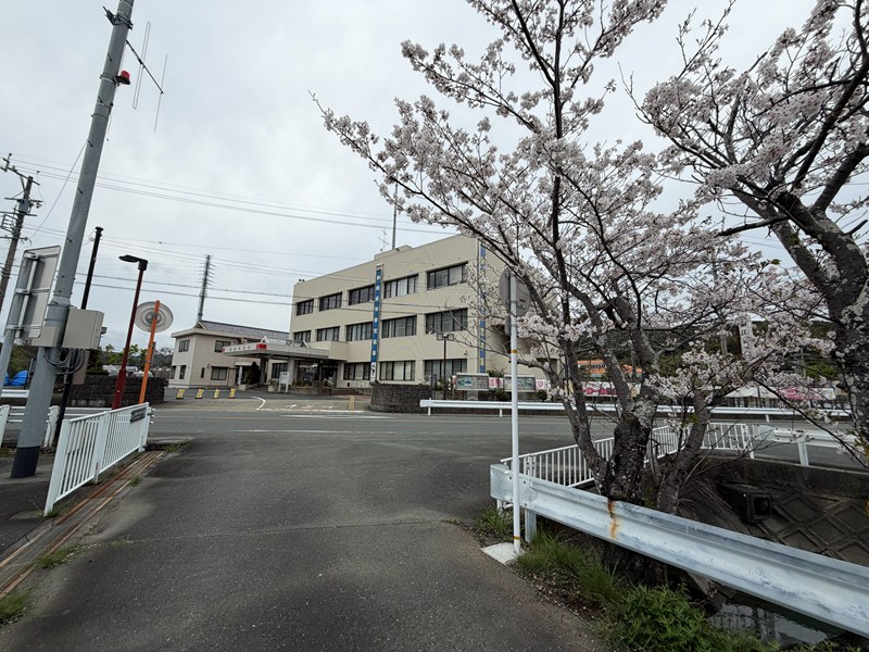 都田川堤防の桜並木（細江警察署と桜）
