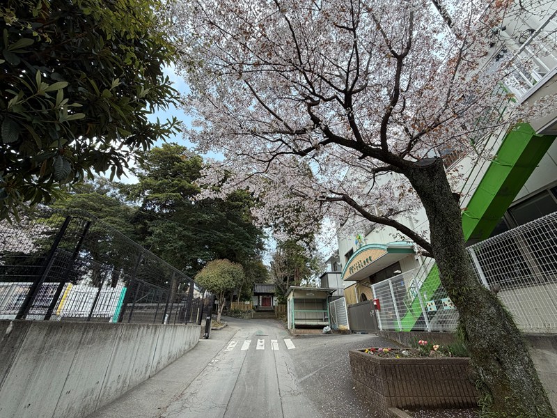 十七夜山 千手寺（桜と保育園）