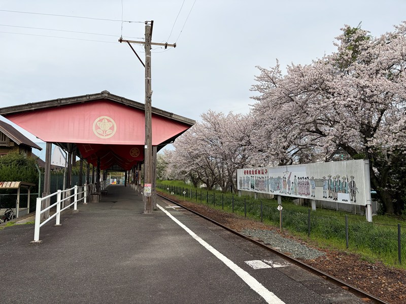 天浜線 気賀駅（ホームと桜）